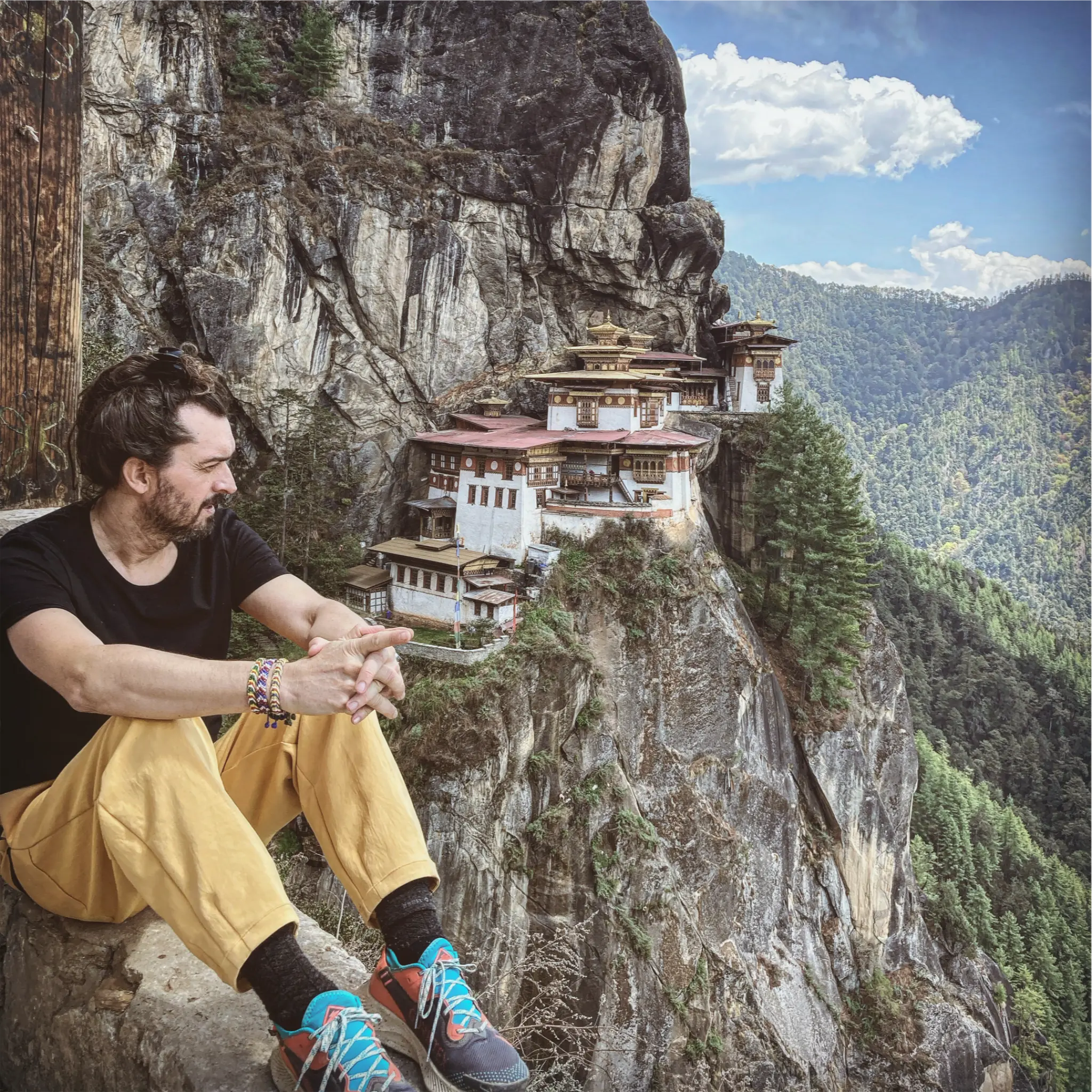 spirit of the beach lab